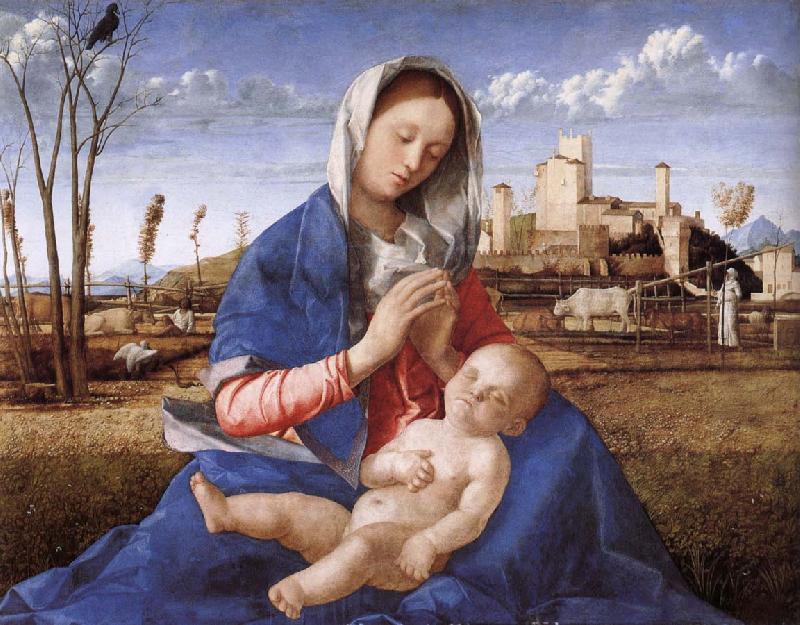 Giovanni Bellini Madonna pa indicated oil painting image
